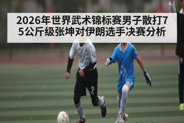 2026年世界武术锦标赛男子散打75公斤级张坤对伊朗选手决赛分析